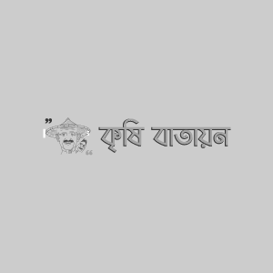 রসুনের এরিওফাইট মাকড়